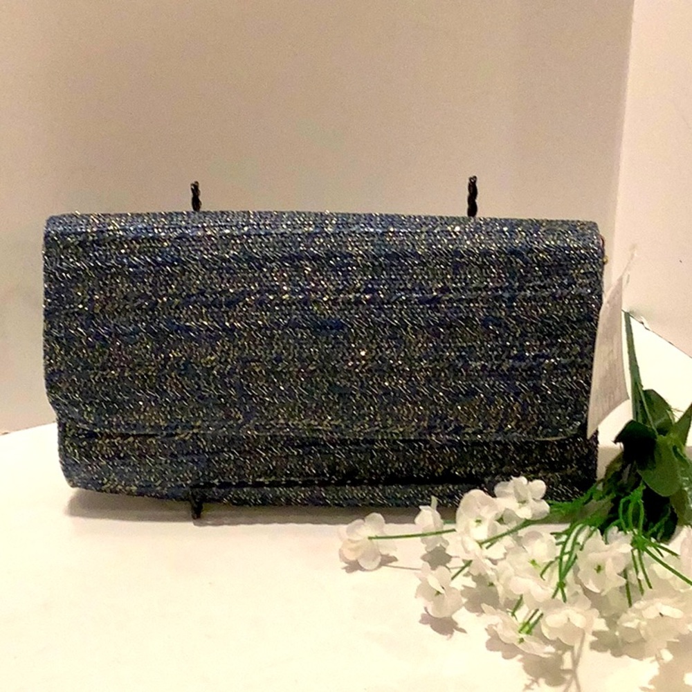 NWT Special Occasion Clutch/Shoulder Bag